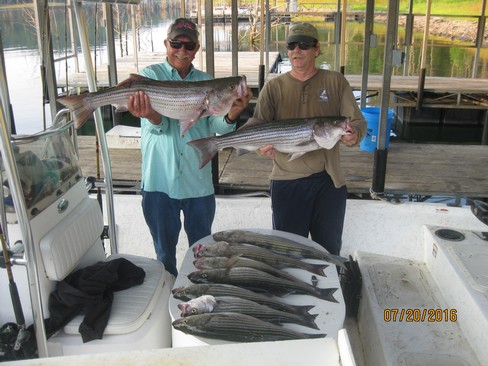 Nice Striped Bass